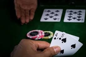 8qbet com